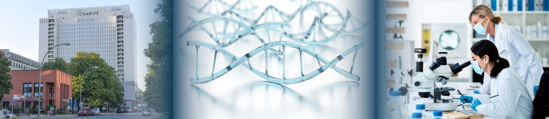 Boomende Medizinmetropole